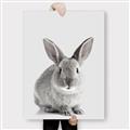 Picture of Button, the Bunny _GroupedProduct_Rectangle_Portrait_Canvas_