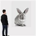 Picture of Button, the Bunny _GroupedProduct_Rectangle_Portrait_Canvas_