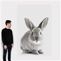 Picture of Button, the Bunny _GroupedProduct_Rectangle_Portrait_Canvas_