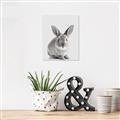 Picture of Button, the Bunny _GroupedProduct_Rectangle_Portrait_Canvas_