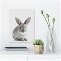 Picture of Button, the Bunny _GroupedProduct_Rectangle_Portrait_Canvas_