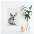 Picture of Button, the Bunny _GroupedProduct_Rectangle_Portrait_Canvas_