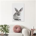 Picture of Button, the Bunny _GroupedProduct_Rectangle_Portrait_Canvas_