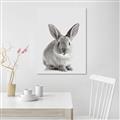 Picture of Button, the Bunny _GroupedProduct_Rectangle_Portrait_Canvas_