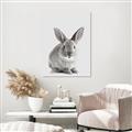 Picture of Button, the Bunny _GroupedProduct_Rectangle_Portrait_Canvas_