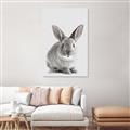 Picture of Button, the Bunny _GroupedProduct_Rectangle_Portrait_Canvas_