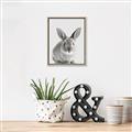 Picture of Button, the Bunny _GroupedProduct_Rectangle_Portrait_Canvas_Framed_