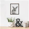 Picture of Button, the Bunny _GroupedProduct_Rectangle_Portrait_Canvas_Framed_