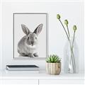 Picture of Button, the Bunny _GroupedProduct_Rectangle_Portrait_Canvas_Framed_