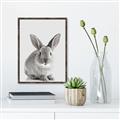 Picture of Button, the Bunny _GroupedProduct_Rectangle_Portrait_Canvas_Framed_