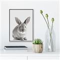 Picture of Button, the Bunny _GroupedProduct_Rectangle_Portrait_Canvas_Framed_