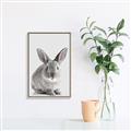 Picture of Button, the Bunny _GroupedProduct_Rectangle_Portrait_Canvas_Framed_