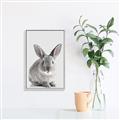 Picture of Button, the Bunny _GroupedProduct_Rectangle_Portrait_Canvas_Framed_