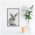 Picture of Button, the Bunny _GroupedProduct_Rectangle_Portrait_Canvas_Framed_