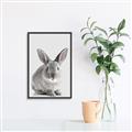 Picture of Button, the Bunny _GroupedProduct_Rectangle_Portrait_Canvas_Framed_