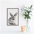 Picture of Button, the Bunny _GroupedProduct_Rectangle_Portrait_Canvas_Framed_