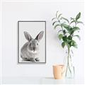 Picture of Button, the Bunny _GroupedProduct_Rectangle_Portrait_Canvas_Framed_
