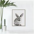 Picture of Button, the Bunny _GroupedProduct_Rectangle_Portrait_Canvas_Framed_