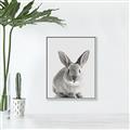 Picture of Button, the Bunny _GroupedProduct_Rectangle_Portrait_Canvas_Framed_