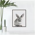 Picture of Button, the Bunny _GroupedProduct_Rectangle_Portrait_Canvas_Framed_