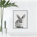 Picture of Button, the Bunny _GroupedProduct_Rectangle_Portrait_Canvas_Framed_