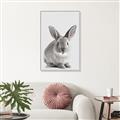 Picture of Button, the Bunny _GroupedProduct_Rectangle_Portrait_Canvas_Framed_