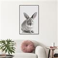 Picture of Button, the Bunny _GroupedProduct_Rectangle_Portrait_Canvas_Framed_