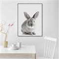 Picture of Button, the Bunny _GroupedProduct_Rectangle_Portrait_Canvas_Framed_