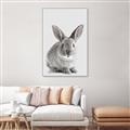 Picture of Button, the Bunny _GroupedProduct_Rectangle_Portrait_Canvas_Framed_