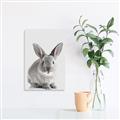 Picture of Button, the Bunny _GroupedProduct_Rectangle_Portrait_Unframed_Print_Only_