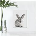 Picture of Button, the Bunny _GroupedProduct_Rectangle_Portrait_Unframed_Print_Only_