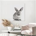Picture of Button, the Bunny _GroupedProduct_Rectangle_Portrait_Unframed_Print_Only_