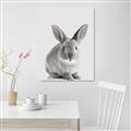 Picture of Button, the Bunny _GroupedProduct_Rectangle_Portrait_Unframed_Print_Only_
