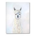 Picture of White Llama _GroupedProduct_Rectangle_Portrait_Canvas_