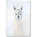 Picture of White Llama _GroupedProduct_Rectangle_Portrait_Canvas_