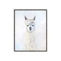 Picture of White Llama _GroupedProduct_Rectangle_Portrait_Canvas_Framed_