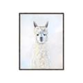 Picture of White Llama _GroupedProduct_Rectangle_Portrait_Canvas_Framed_