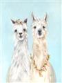 Picture of Friendly Llamas  _GroupedProduct_Rectangle_Portrait_Unframed_Print_Only_