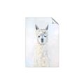 Picture of White Llama _GroupedProduct_Rectangle_Portrait_Unframed_Print_Only_