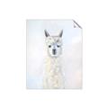 Picture of White Llama _GroupedProduct_Rectangle_Portrait_Unframed_Print_Only_