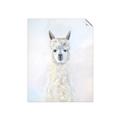 Picture of White Llama _GroupedProduct_Rectangle_Portrait_Unframed_Print_Only_