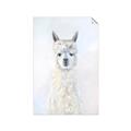 Picture of White Llama _GroupedProduct_Rectangle_Portrait_Unframed_Print_Only_