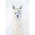 Picture of White Llama _GroupedProduct_Rectangle_Portrait_Unframed_Print_Only_