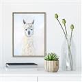 Picture of White Llama _GroupedProduct_Rectangle_Portrait_Canvas_Framed_