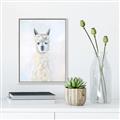 Picture of White Llama _GroupedProduct_Rectangle_Portrait_Canvas_Framed_
