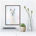 Picture of White Llama _GroupedProduct_Rectangle_Portrait_Canvas_Framed_
