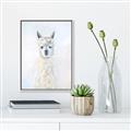 Picture of White Llama _GroupedProduct_Rectangle_Portrait_Canvas_Framed_