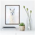 Picture of White Llama _GroupedProduct_Rectangle_Portrait_Canvas_Framed_