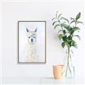 Picture of White Llama _GroupedProduct_Rectangle_Portrait_Canvas_Framed_