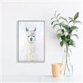 Picture of White Llama _GroupedProduct_Rectangle_Portrait_Canvas_Framed_